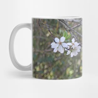 Almond tree branches and flowers Mug